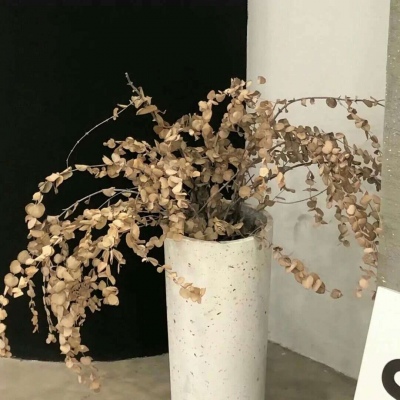 兽设零基础绘画实用教程Furry群